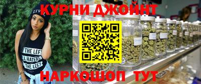 гашик Ливны