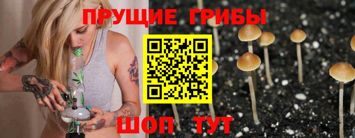 Псилоцибиновые грибы GOLDEN TEACHER  Вход с VPN  Галлюциногенные грибы Magic Shrooms  Зеленокумск 