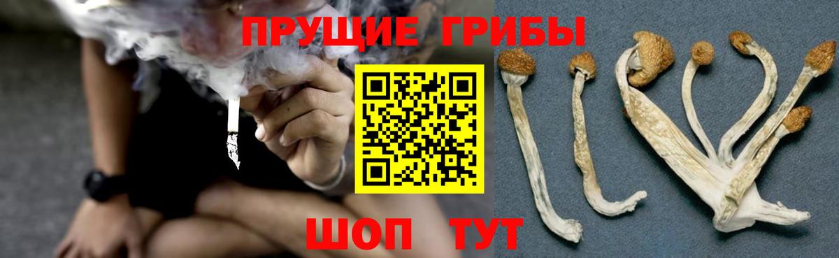 Галлюциногенные грибы мицелий Зеленокумск